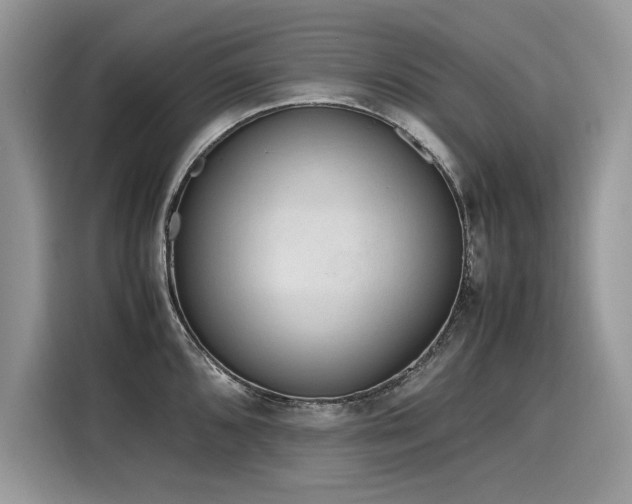 X0000116271096200911301208