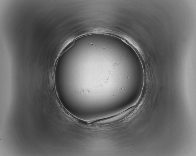 X0000116271097200911301208