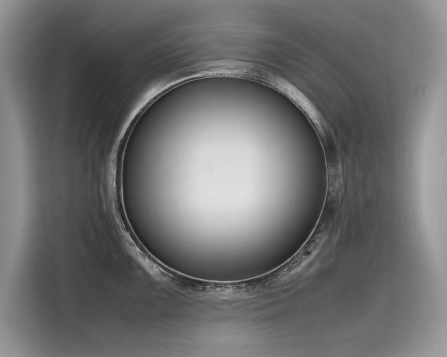 X0000116271099200911301208