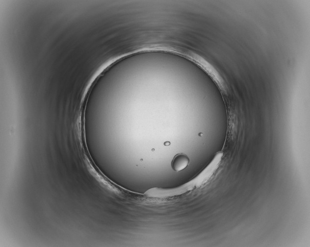 X0000116271100200911301208