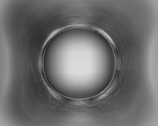 X0000116271101200911301208