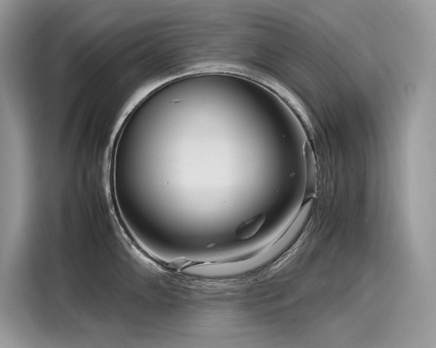 X0000116271102200911301208