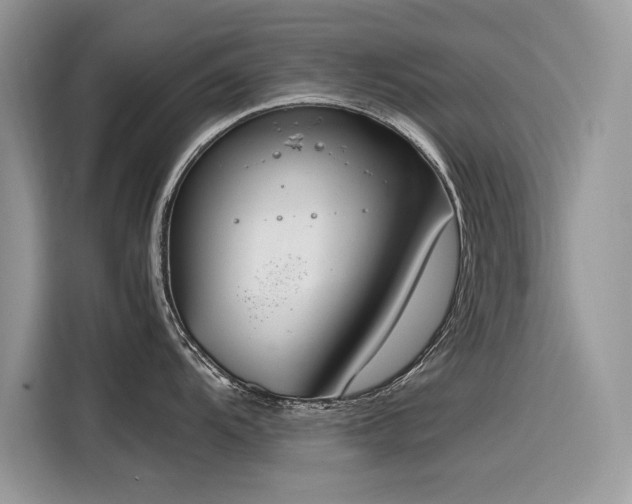 X0000116271104200911301208