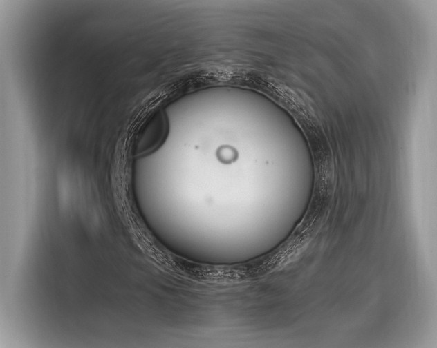 X0000116271105200911301207