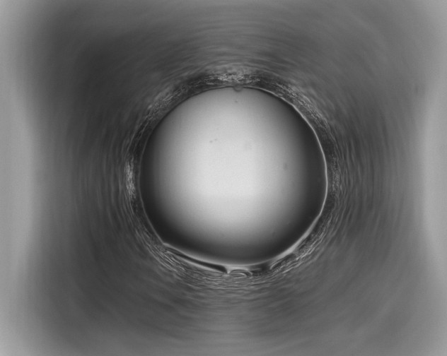 X0000116271106200911301207
