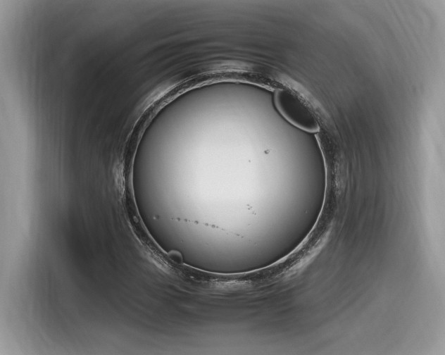 X0000116271113200911301208