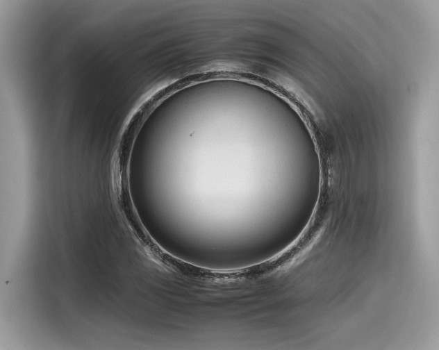X0000116271117200911301208