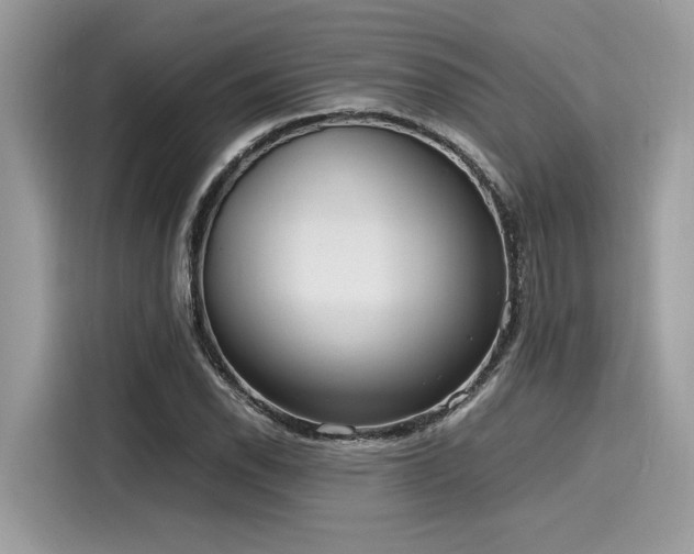 X0000116271118200911301208