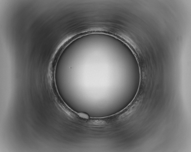 X0000116271119200911301208