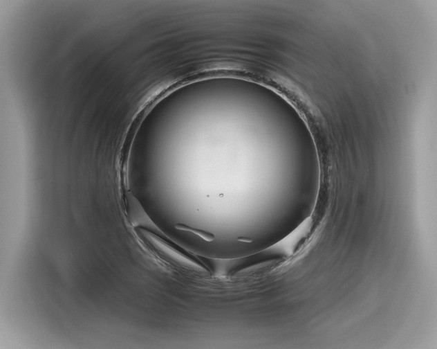 X0000116271121200911301208