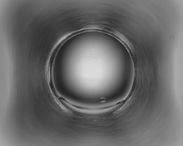X0000116271127200911301208