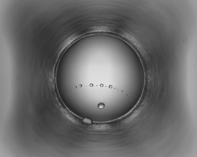 X0000116271129200911301208