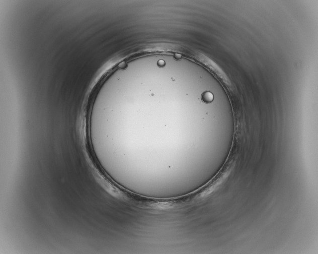 X0000116271130200911301208