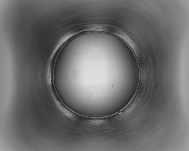 X0000116271131200911301208