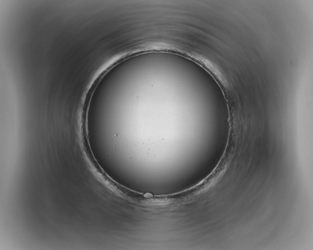 X0000116271134200911301208