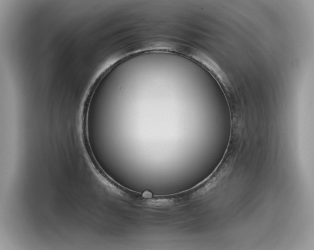 X0000116271135200911301208