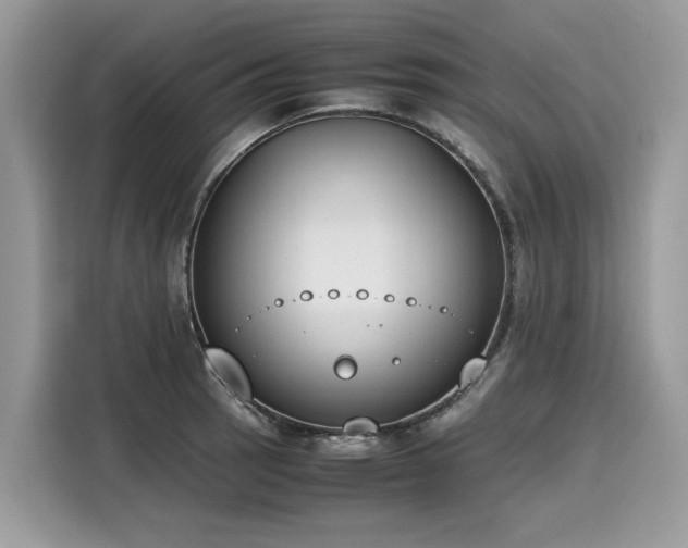 X0000116271137200911301208