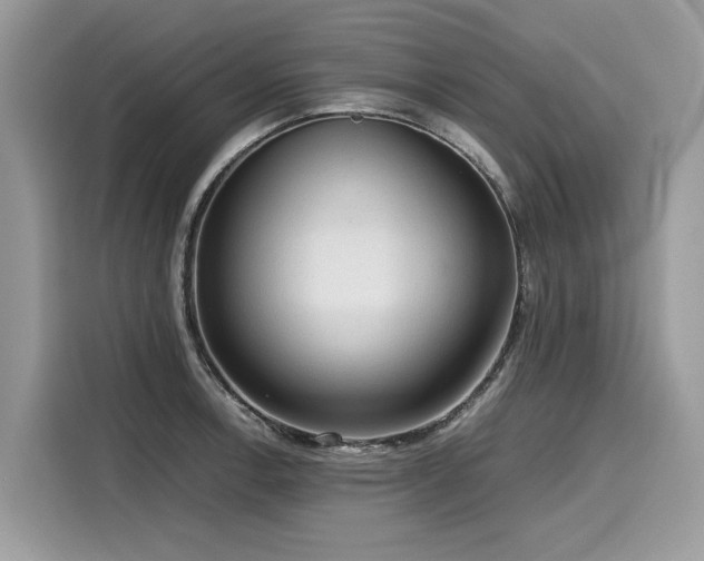 X0000116271138200911301208