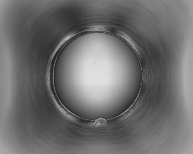 X0000116271139200911301208