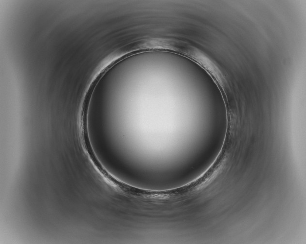 X0000116271141200911301208