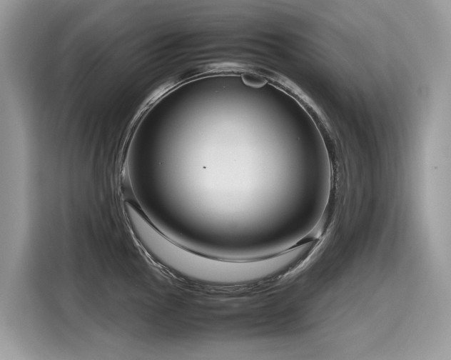 X0000116271145200911301208