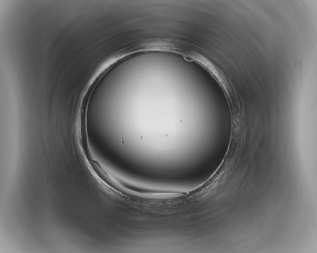 X0000116271147200911301208