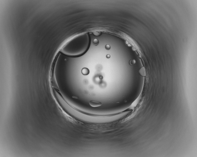 X0000116271149200911301208