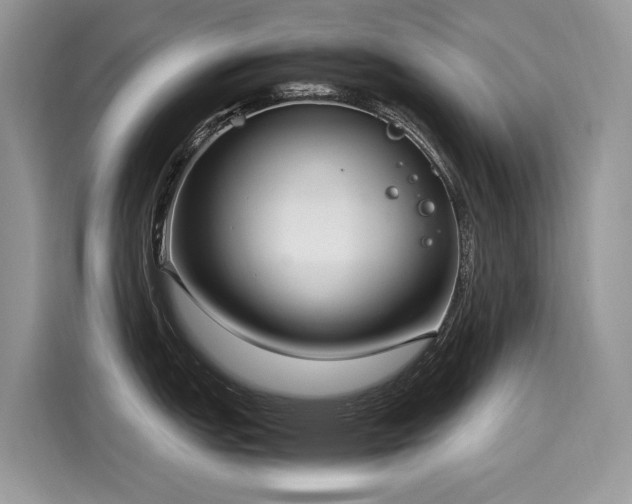 X0000116271151200911301208