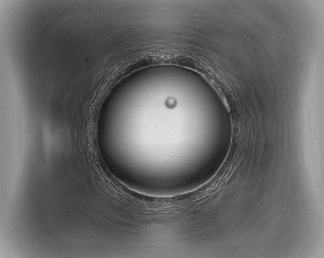 X0000116271153200911301207