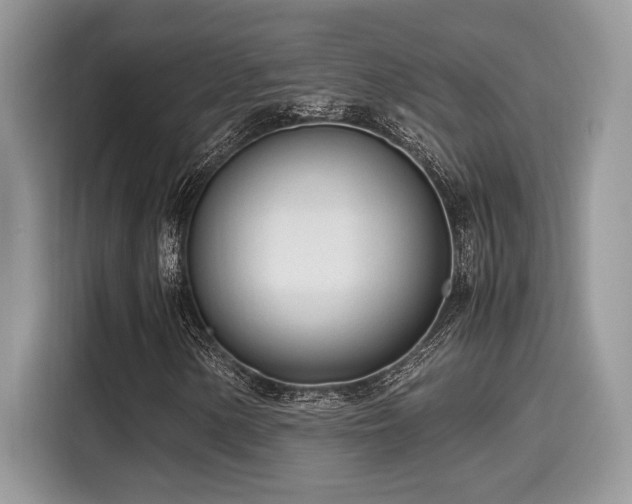 X0000116271154200911301207