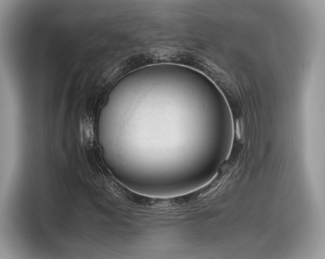X0000116271155200911301207