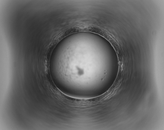 X0000116271156200911301207