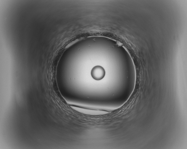 X0000116271157200911301207