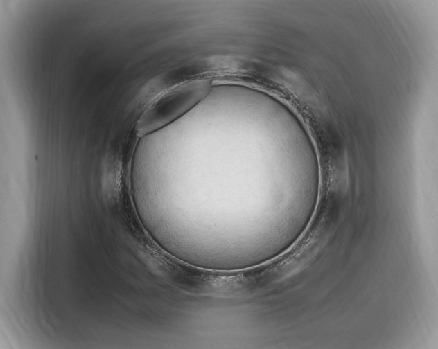 X0000116271161200911301207