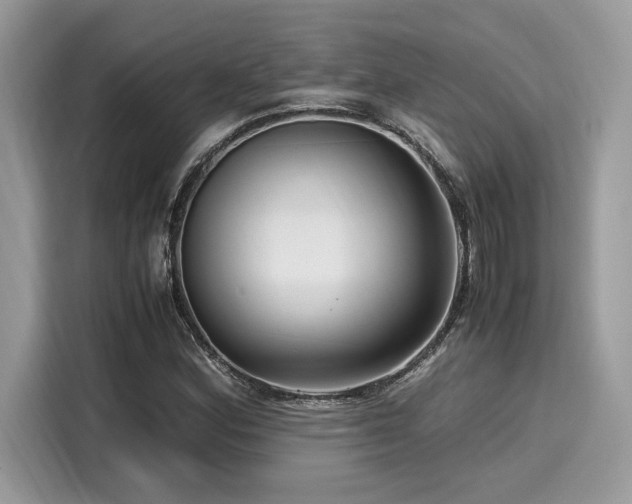 X0000116271164200911301207