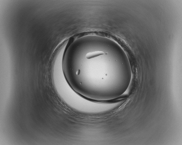 X0000116271165200911301207
