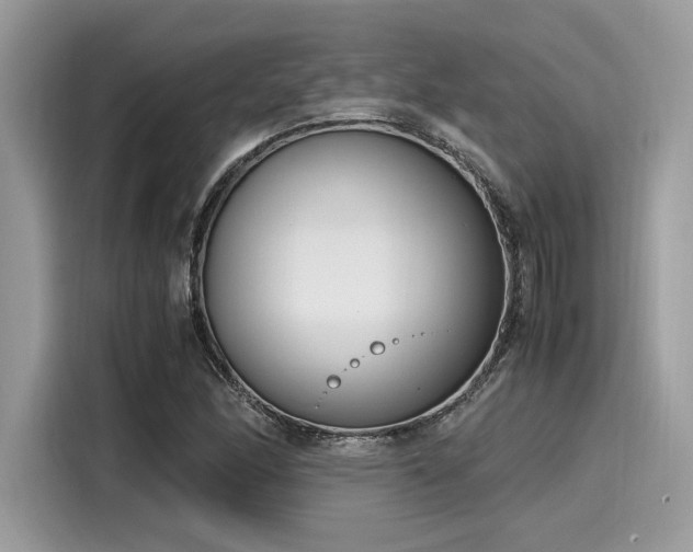 X0000116271166200911301207