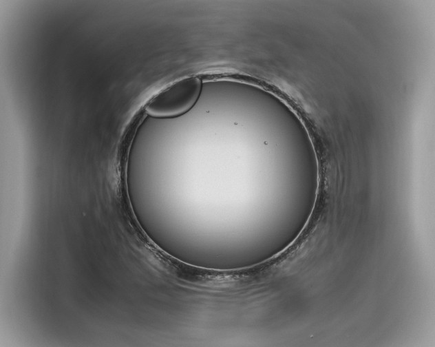 X0000116271167200911301207