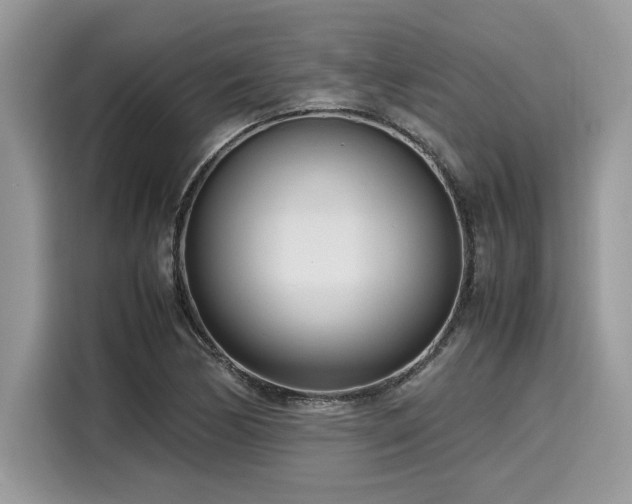 X0000116271170200911301207