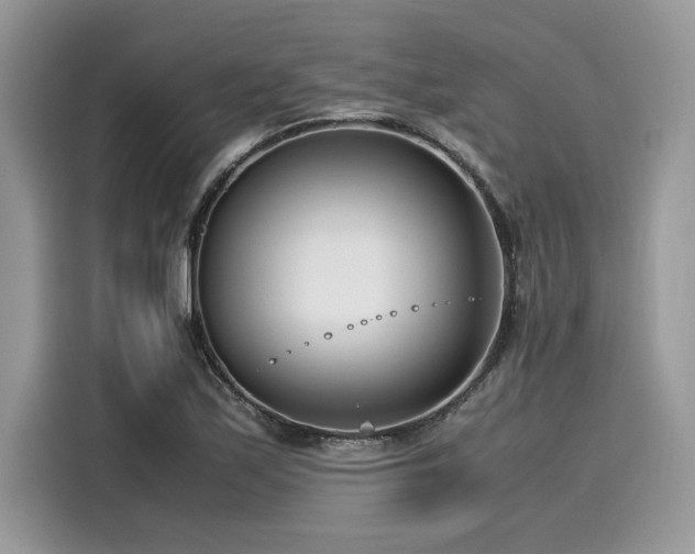 X0000116271171200911301207