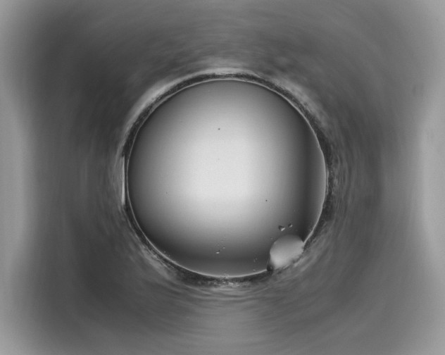 X0000116271175200911301207