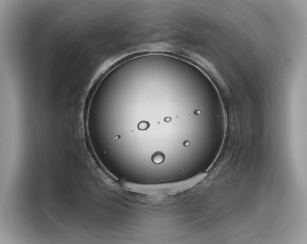 X0000116271176200911301207