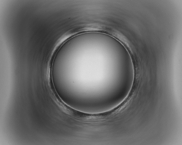 X0000116271179200911301207