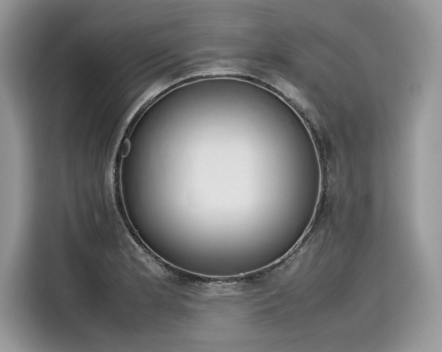 X0000116271181200911301207