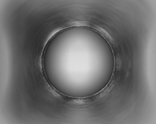 X0000116271182200911301207