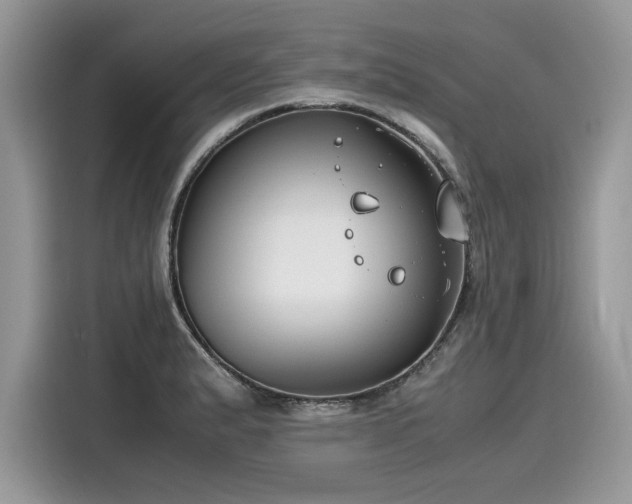 X0000116271183200911301207