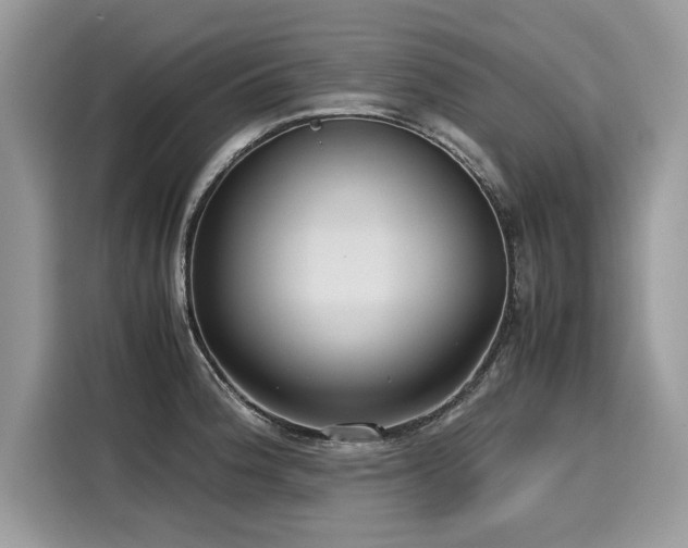 X0000116271188200911301207