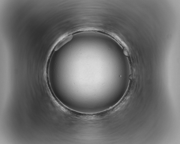 X0000116271189200911301207