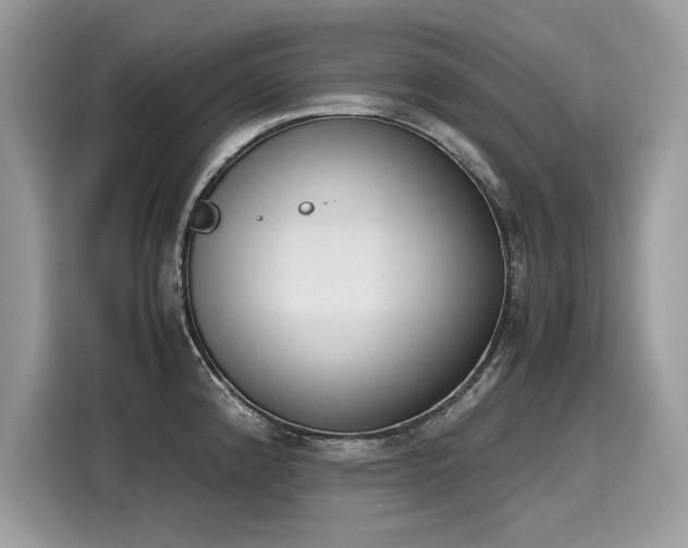 X0000116271192200911301207