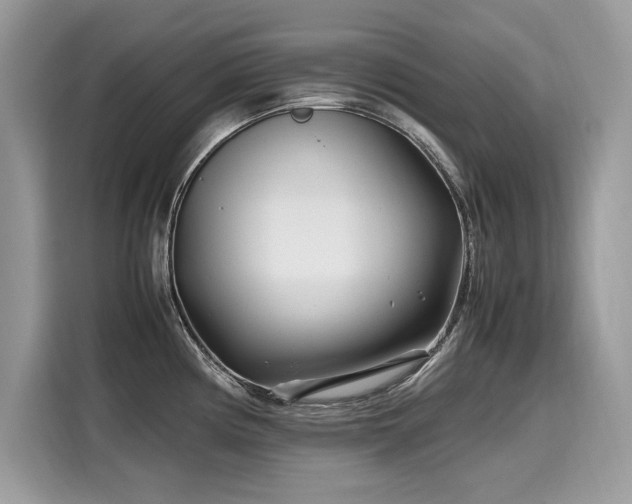 X0000116271194200911301207